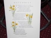 DAFFODILS