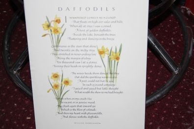 DAFFODILS