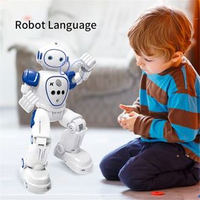 Gesture Control Intelligent Cady Robot