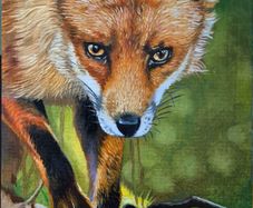 Red Fox - oil painting on canvas panel