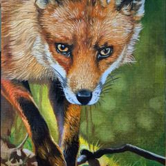 Red Fox - oil painting on canvas panel
