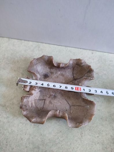Historique Chinese Soapstone Lotus Leaf Scholar's Brush Washer Tray Dish Hand Carved