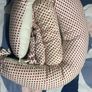 Koala Babycare Pregnancy Pillow Image 3