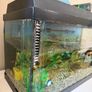 fish tank only Image 2