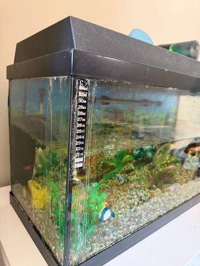 fish tank only