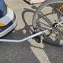 Bike Trailer - Giant Peapod Double Image 4