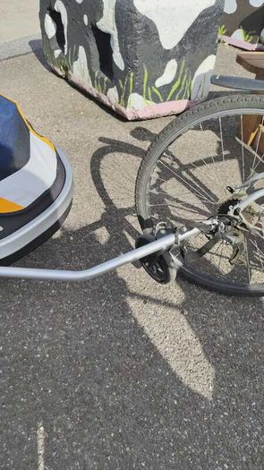 Bike Trailer - Giant Peapod Double