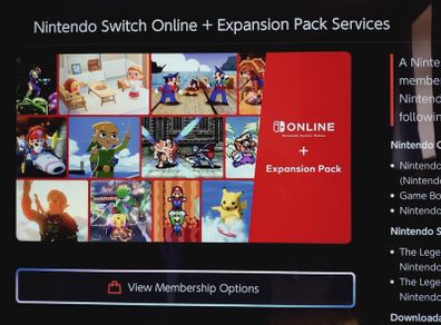 1 Year Nintendo Online + Expansion Pack Family Plan Slot