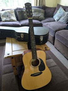 Fender DG-5