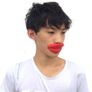 Fake Nose Halloween Costume/Red Mouth Mask/Nose & mouth mask/ black cut  out eye mask Image 3