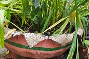 Large handmade planter with plants
