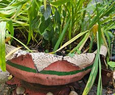 Large handmade planter with plants