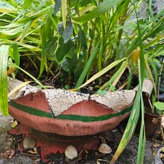 Large handmade planter with plants