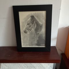 drawing of Lorcan the donkey