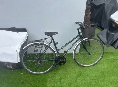 Falcon Explorer Hybrid (green, with front basket)