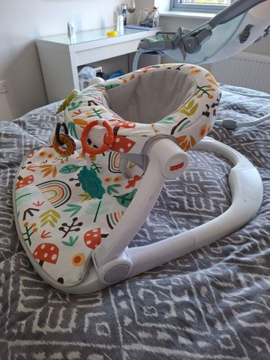 Fisher-Price Portable Baby Chair
