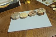Petrified wood slices