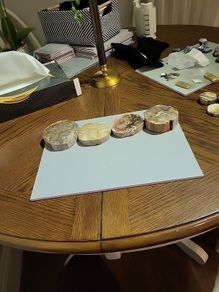 Petrified wood slices