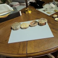 Petrified wood slices