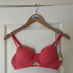Dkny Bra 34b