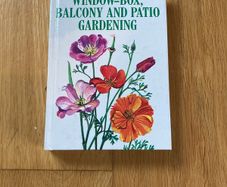 Window box  balcony and patio gardening