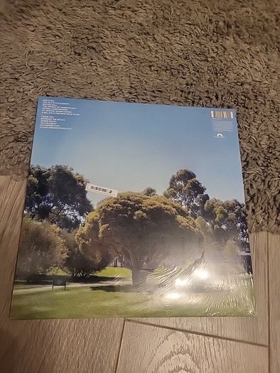 Jamie T the theory of whatever white vinyl