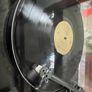 Chelsea Light Moving - Chelsea Light Moving (Sonic Youth / Thurston Moore) Image 6
