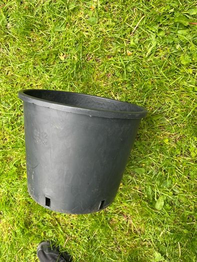 Nursery Plant Pot 12 Litres x75
