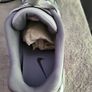Nike runners Image 2