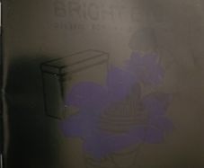 Bright Eyes - Digital Ash In Digital Urn.