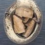 Irish Army Vickers Helmet White Image 10