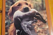 Just Dogs. A Literary And Photographic Tribut To The Great Hunting Breeds. First Edition Large Volume Hardback With Dustjacket In Good Condition.  See Photos For Same.