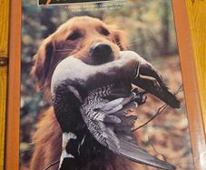 Just Dogs. A Literary And Photographic Tribut To The Great Hunting Breeds. First Edition Large Volume Hardback With Dustjacket In Good Condition.  See Photos For Same.