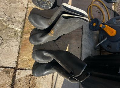 wellingtons