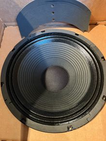 WGS Warehouse Hook 12" 100w,16 ohm, custom made guitar speaker