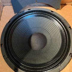 WGS Warehouse Hook 12" 100w,16 ohm, custom made guitar speaker