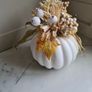 White Pumpkin Image 4