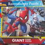 Various Jigsaw Puzzles Image 7