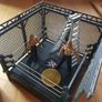 wrestling Image 2
