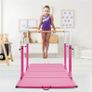 Double gymnastics bars Image 2