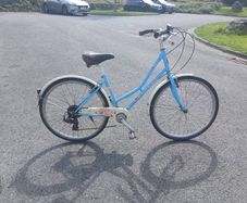 Adults Bike