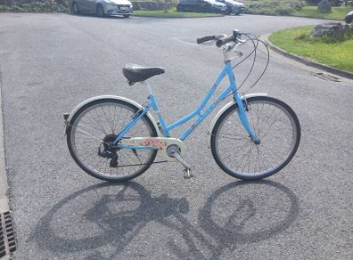 Adults Bike