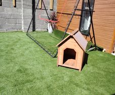 Dog house