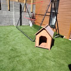 Dog house
