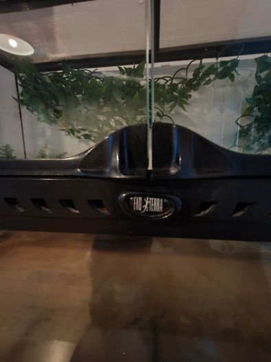 terarium