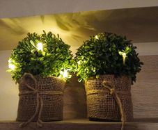 2 x light-up faux plants in hession pots