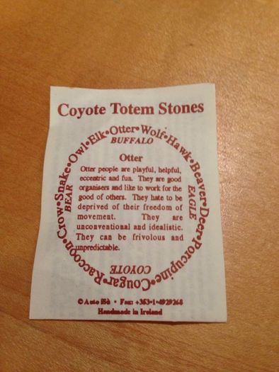 Coyote Totem Energy Stones Necklace