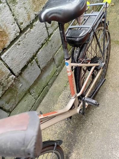 adults bike