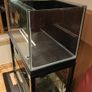 Reef Tank Image 3