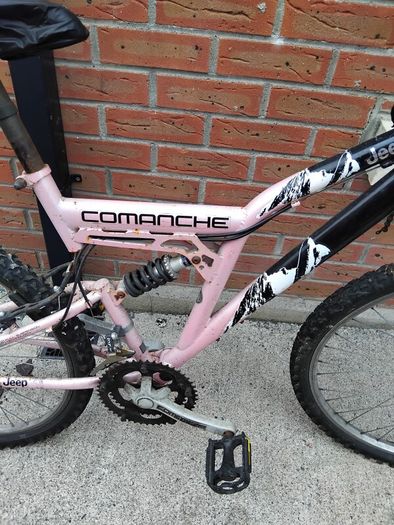 ladys bike